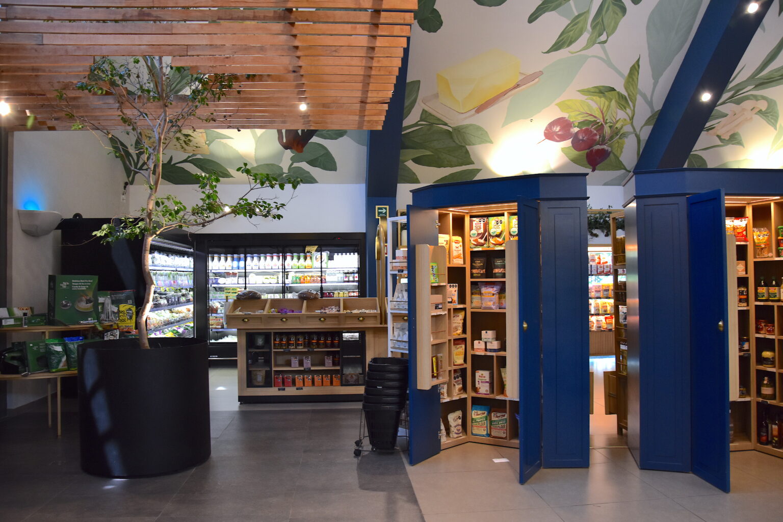 Gabinetes azules de producto junto a árbol interior y refrigeradores en Ingredienta Pedregal