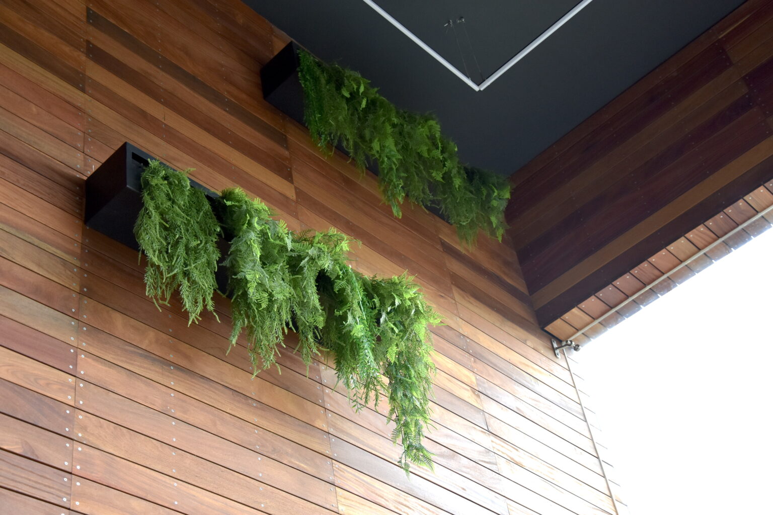 Jardineras colgantes sobre muro de madera en el showroom Real de Monteza