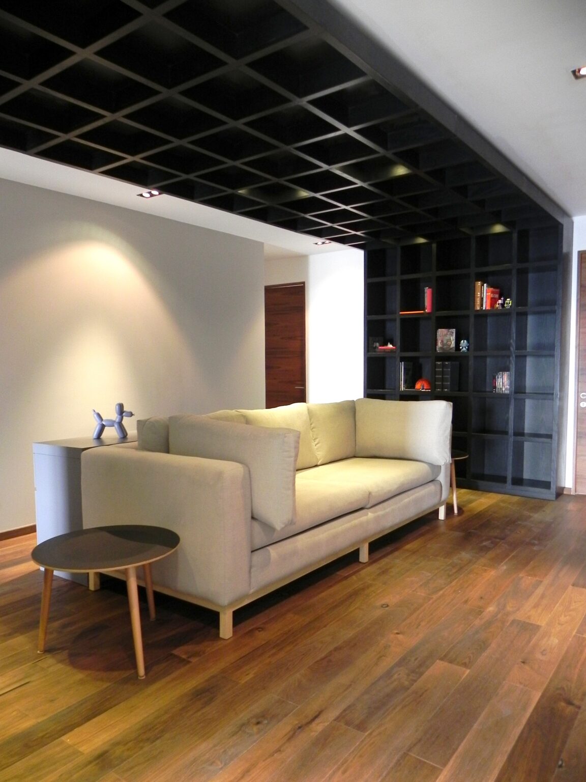 Sala de televisión de Avivia con sofá claro, librero negro y plafón reticular